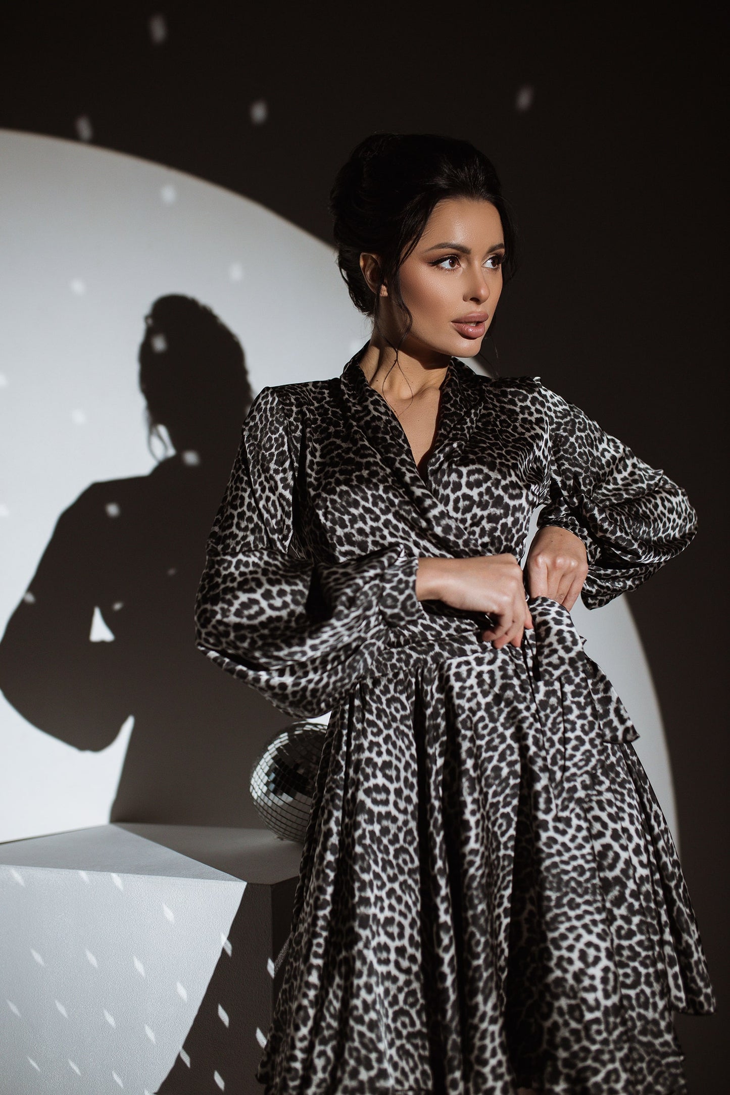 Leo Print Silk Dress Mini A-line Long Sleeve