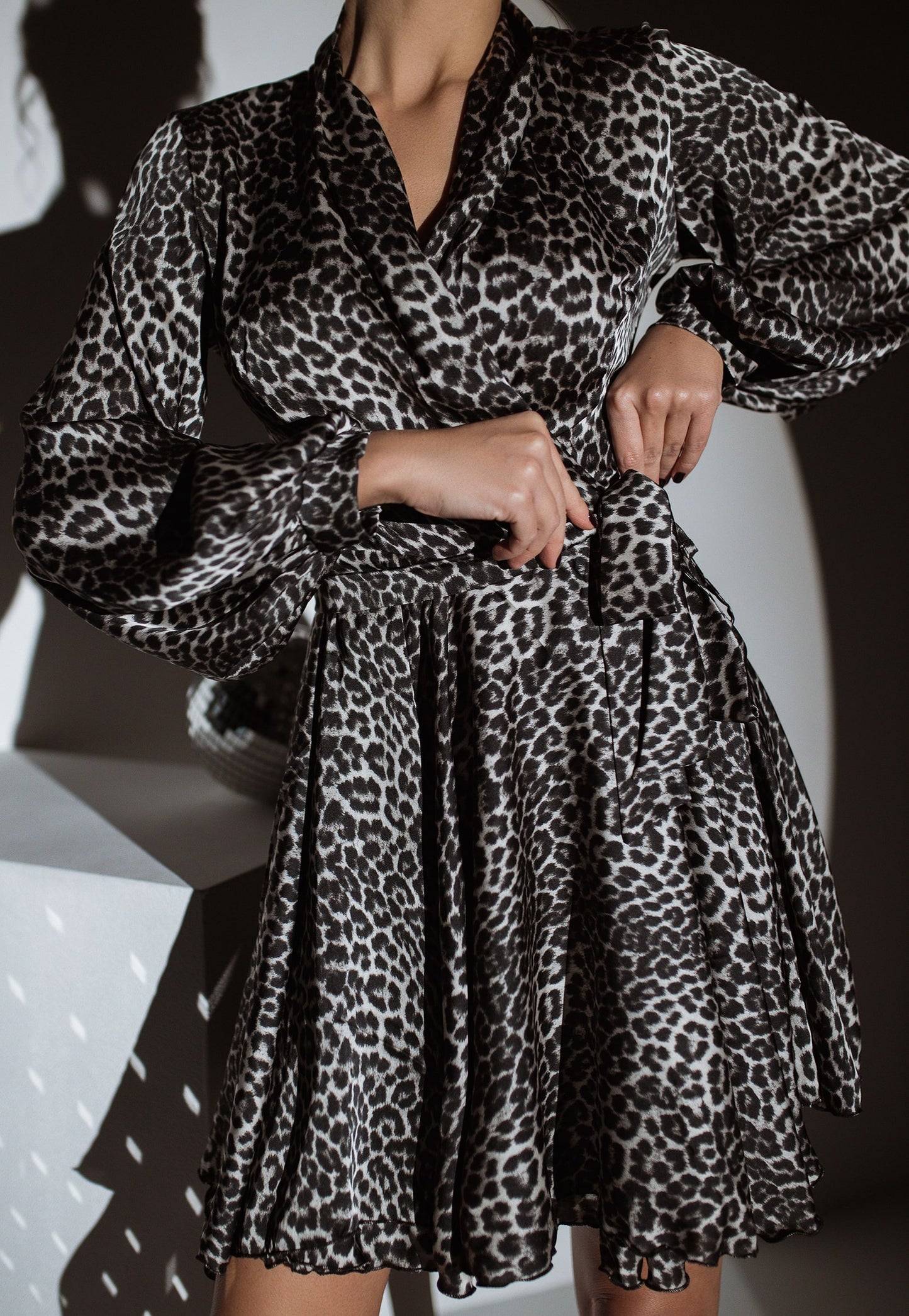 Leo Print Silk Dress Mini A-line Long Sleeve