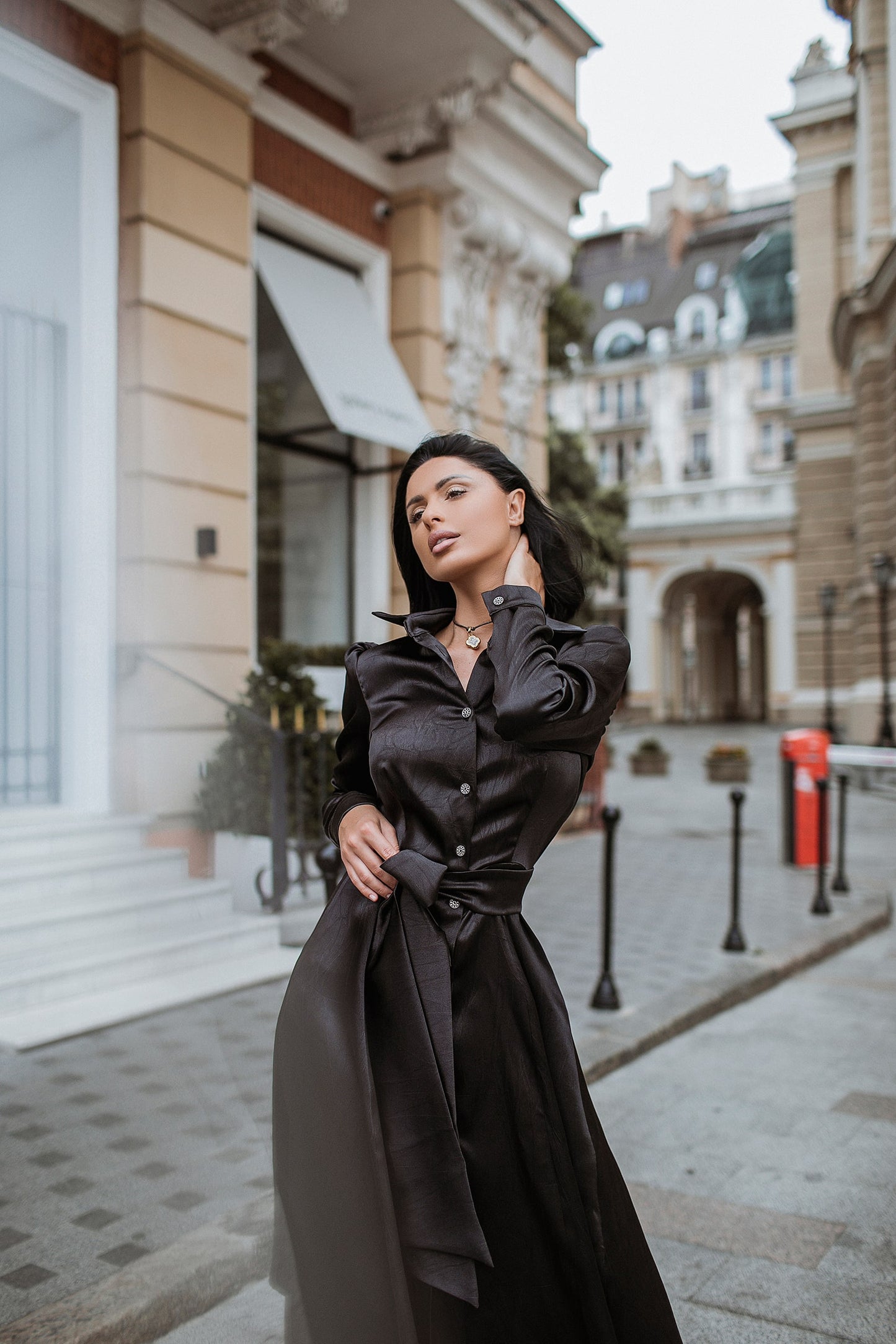 Satin Midi Dress Sheath Long Sleeve & Collared Neckline