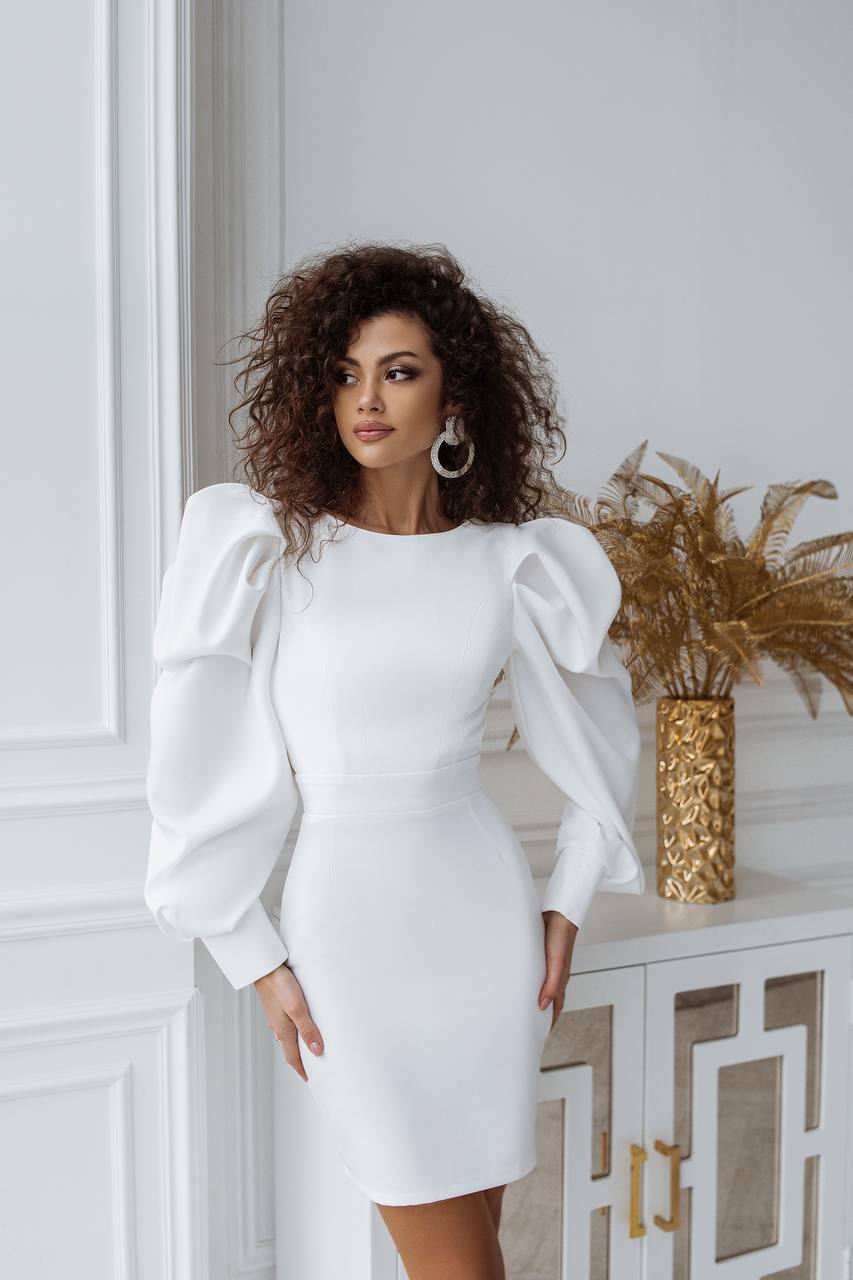 Backless Puff Sleeve Mini Dress