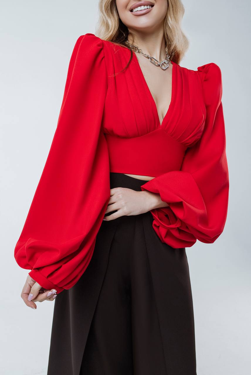 Puff Sleeve V-neck Blouse